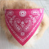 Dog Collar Bandana's rose / XL HomeStock homestocks.myshopify.com Dog Collar Bandana's rose / XL HomeStock homestocks.myshopify.com