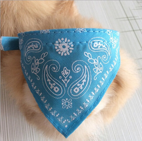 Dog Collar Bandana's sky blue / XL HomeStock homestocks.myshopify.com
