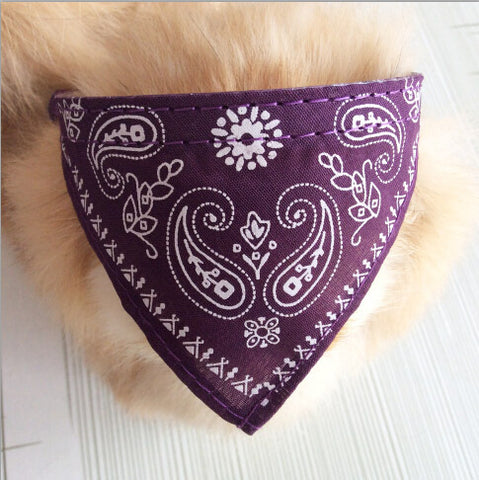 Dog Collar Bandana's purple / XL HomeStock homestocks.myshopify.com