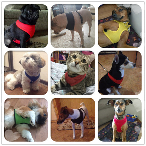 Adjustable Soft Dog Harness Mesh Vest  HomeStock homestocks.myshopify.com