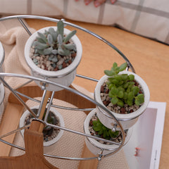 Ferris Wheel Bonsai Flowerpots  HomeStock homestocks.myshopify.com
