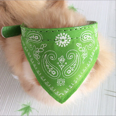 Dog Collar Bandana's green / XL HomeStock homestocks.myshopify.com