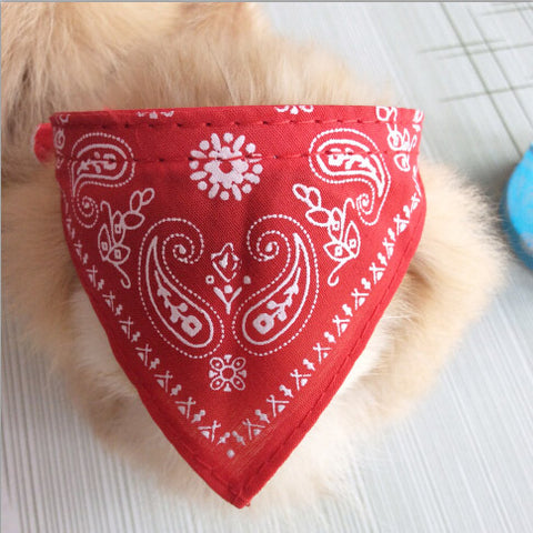 Dog Collar Bandana's red / XL HomeStock homestocks.myshopify.com