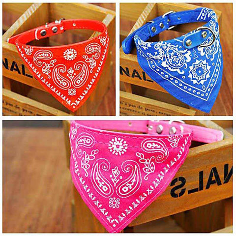 Dog Collar Bandana's  HomeStock homestocks.myshopify.com