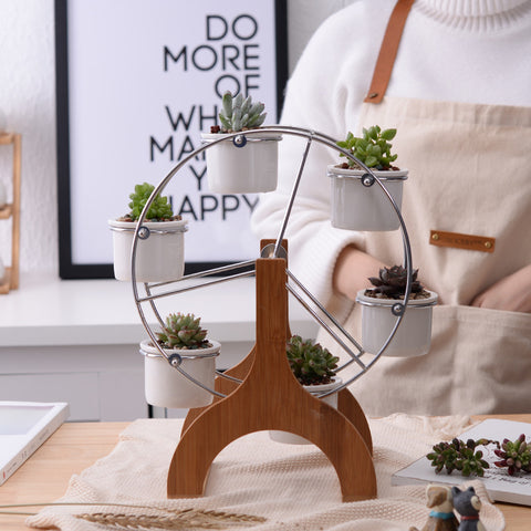 Ferris Wheel Bonsai Flowerpots