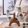 Ferris Wheel Bonsai Flowerpots  HomeStock homestocks.myshopify.com