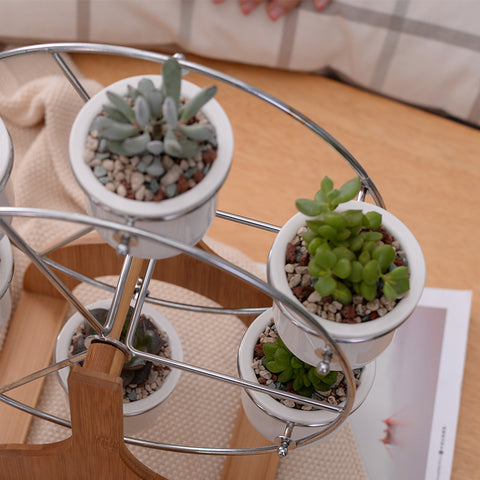 Ferris Wheel Bonsai Flowerpots  HomeStock homestocks.myshopify.com