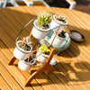 Ferris Wheel Bonsai Flowerpots  HomeStock homestocks.myshopify.com