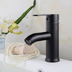 Stainless Steel Polished Faucet