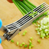 Stainless Steel 5 Layers Scissors  HomeStock homestocks.myshopify.com